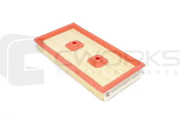Air Filter (B13MR0078)