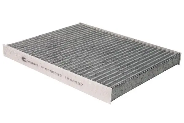 Filter, cabin air (B15CR0025)