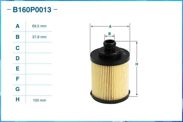Oil Filter