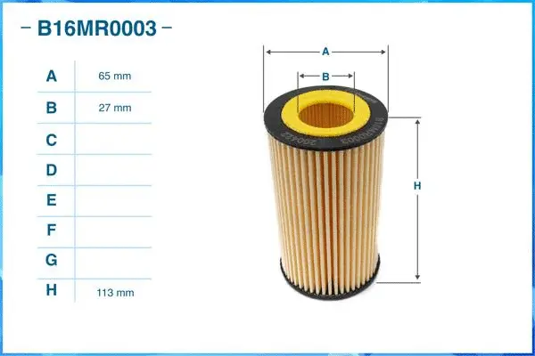 Oil Filter