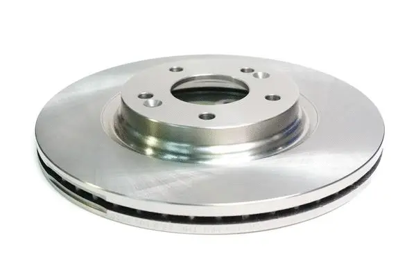 Brake Disc (C210R2129)