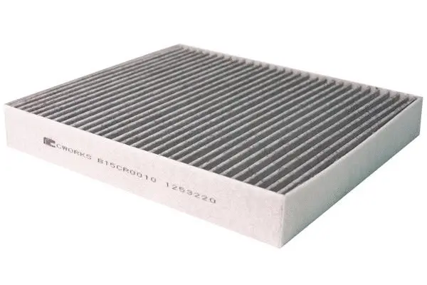Filter, cabin air (B15CR0010)