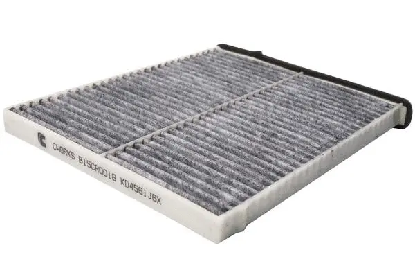 Filter, cabin air (B15CR0018)