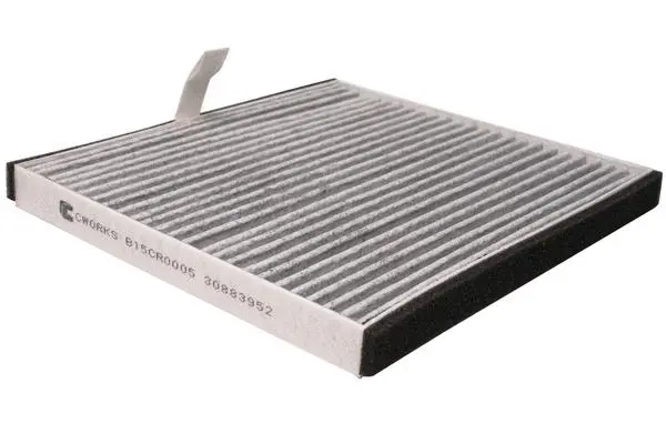 Filter, cabin air (B15CR0005)