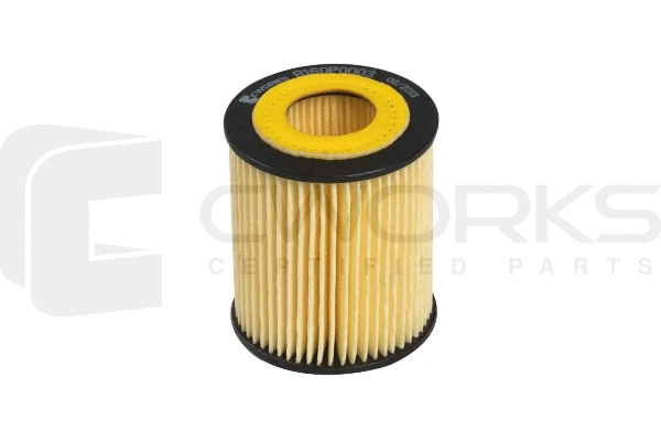 Oil Filter (B160P0003)