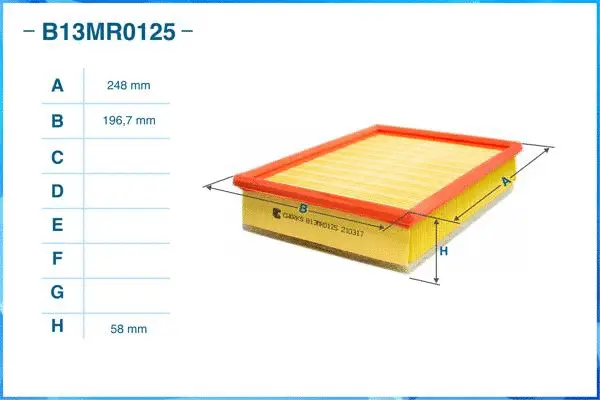 Air Filter