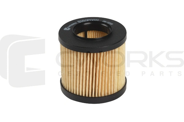 Oil Filter (B160P0011)