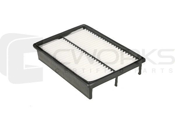 Air Filter (B130601010)