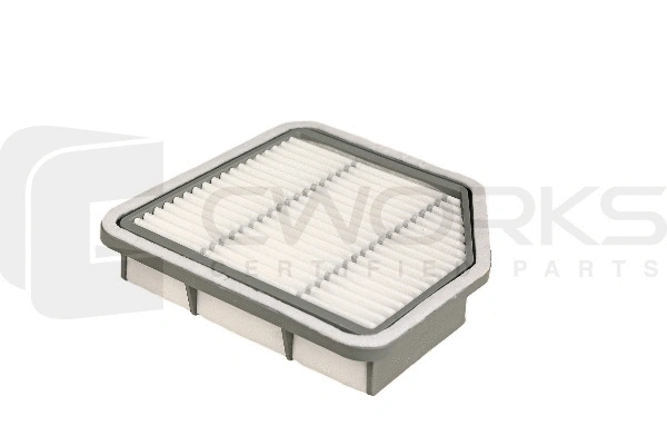 Air Filter (B130195012)