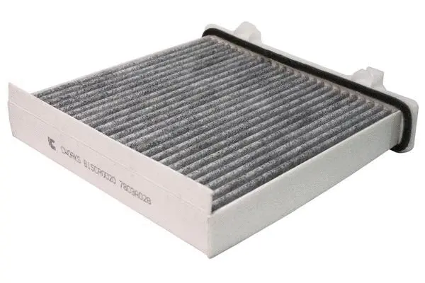 Filter, cabin air (B15CR0020)