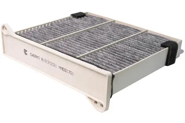 Filter, cabin air (B15CR0021)