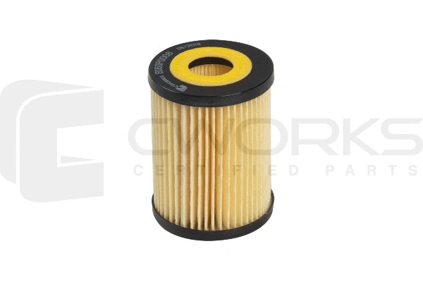 Oil Filter (B160P0008)