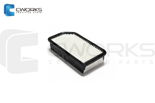 Air Filter (B132312100)