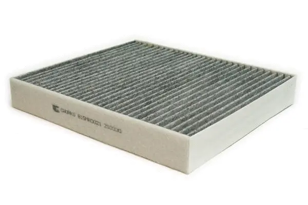 Filter, cabin air (B15MR0021)