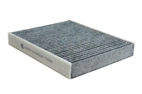 Filter, cabin air (B15MR0025)