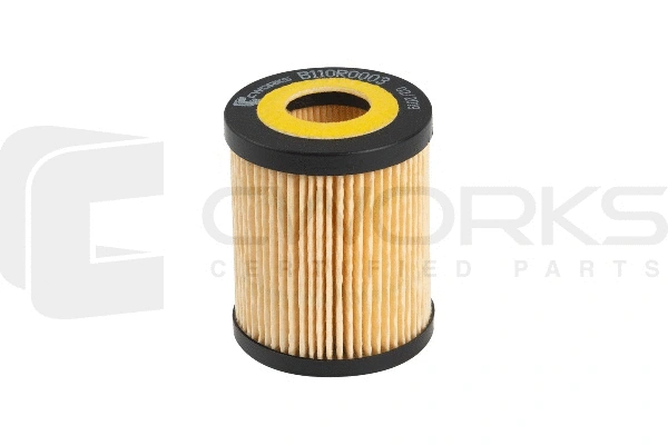 Oil Filter (B110R0003)