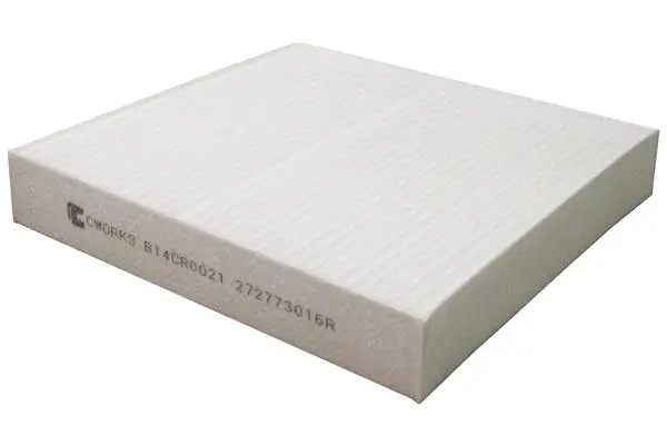Filter, cabin air (B14CR0021)