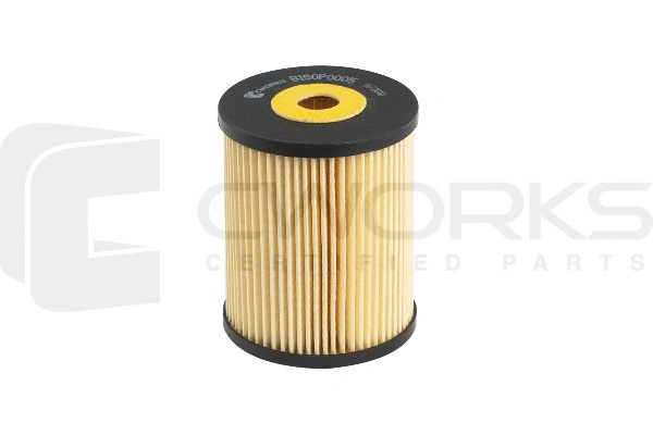 Oil Filter (B160P0005)