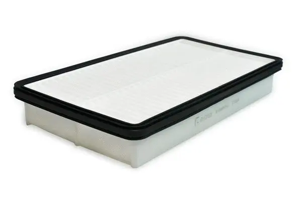 Air Filter (B13MR0141)