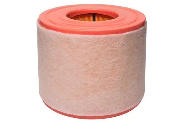 Air Filter (B13CR0039)