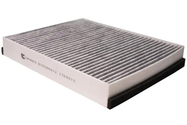 Filter, cabin air (B15CR0012)
