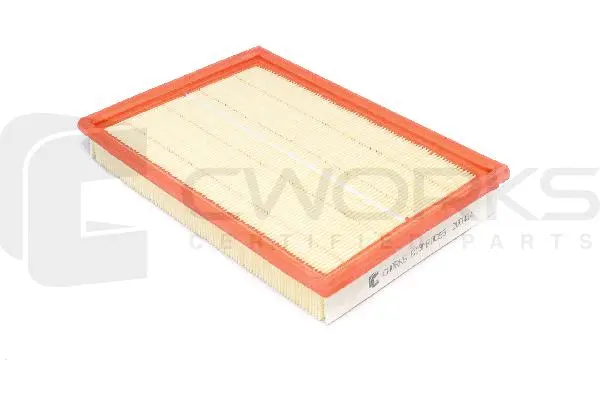 Air Filter (B13MR0055)