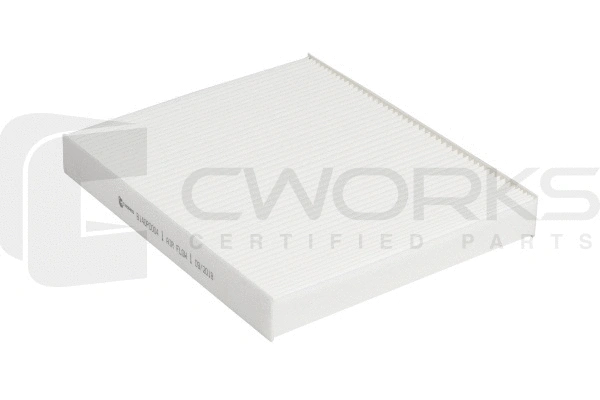 Filter, cabin air (B140P0004)