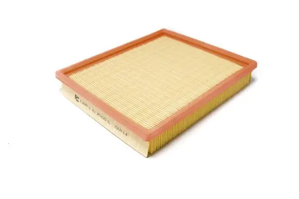 Air Filter (B13MR0076)