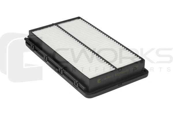 Air Filter (B130G0092)