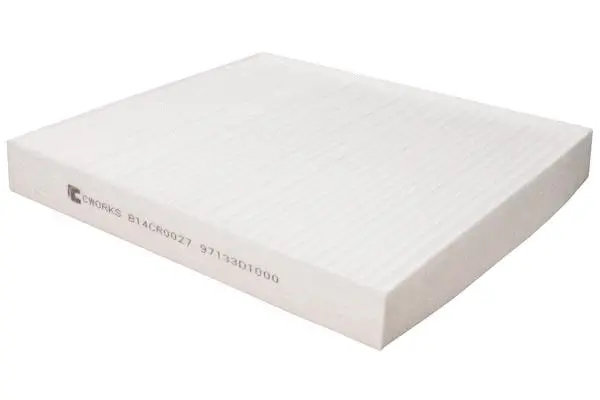 Filter, cabin air (B14CR0027)