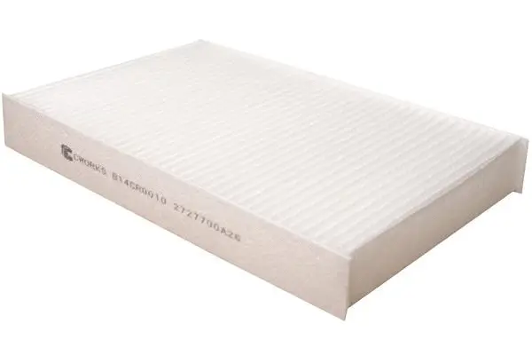Filter, cabin air (B14CR0010)