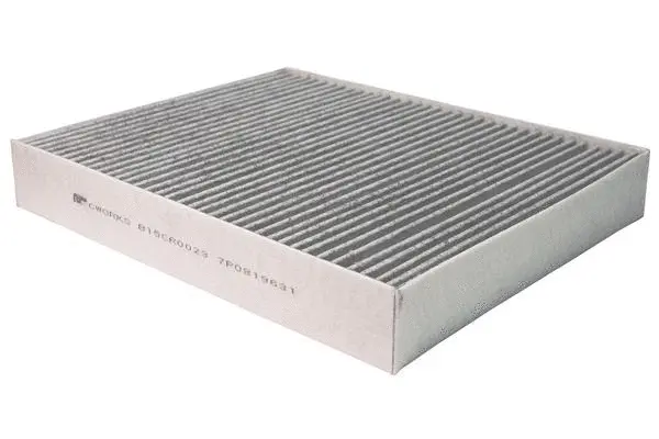 Filter, cabin air (B15CR0023)