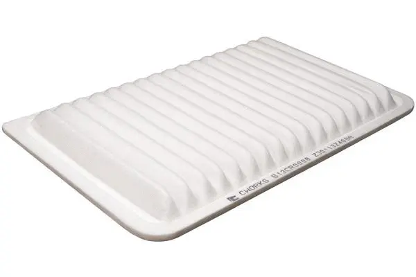 Air Filter (B13CR0098)