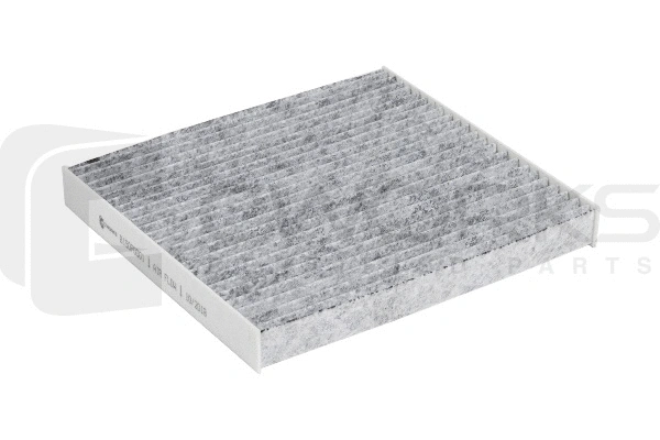 Filter, cabin air (B150P0001)