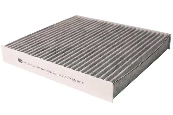 Filter, cabin air (B15CR0019)