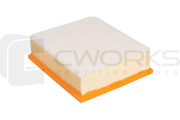 Air Filter (B130P0009)