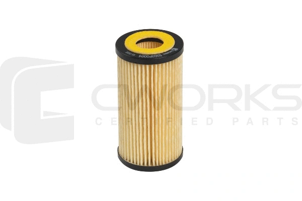 Oil Filter (B160P0004)