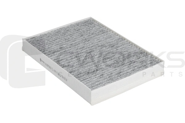 Filter, cabin air (B150P0003)