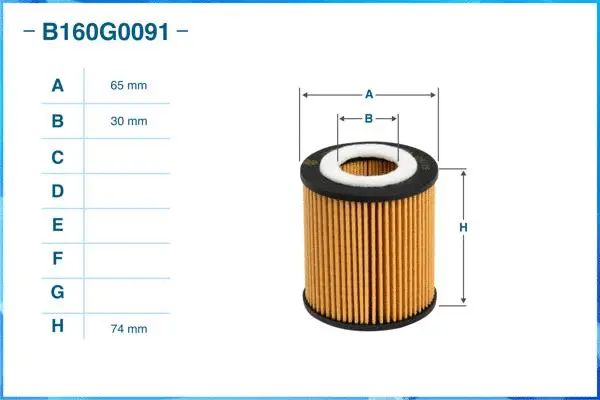 Oil Filter