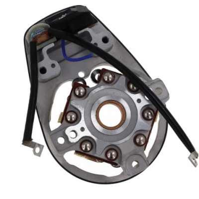 Holder, carbon brushes