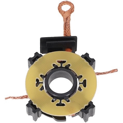 Holder, carbon brushes