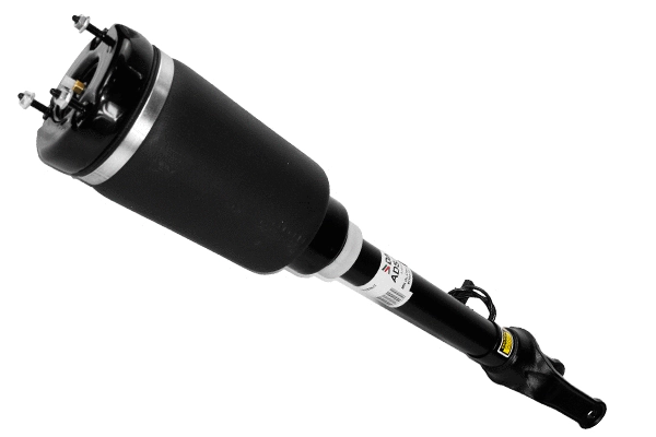 Air Suspension Strut (ADS2301)