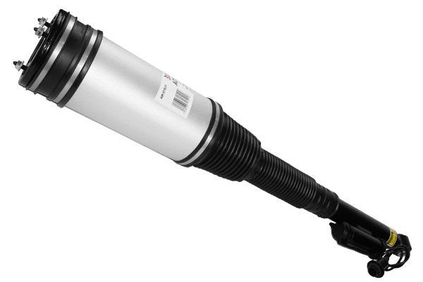 Air Suspension Strut (ADS2305)