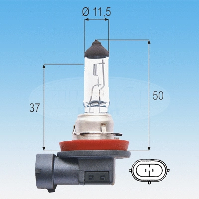 Bulb, spotlight (722997)