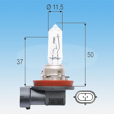 Bulb, spotlight (722996)
