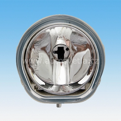 Front Fog Light (721497)
