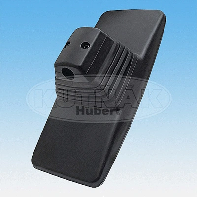 Exterior Mirror, driver cab (727831)