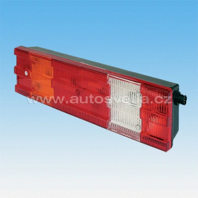 Tail Light Assembly (722570)