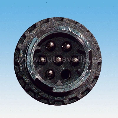 Tail Light Assembly (722711)