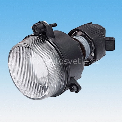 Front Fog Light (720311)